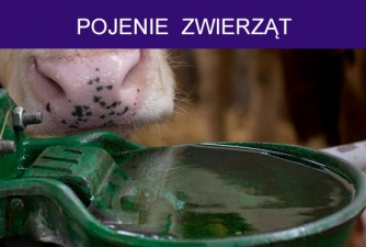 oferta-macro-pol-pojenie oferta-macro-pol-pojenie